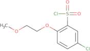 5-Chloro-2-(2-methoxyethoxy)benzene-1-sulfonyl chloride