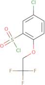 5-Chloro-2-(2,2,2-trifluoroethoxy)benzene-1-sulfonyl chloride