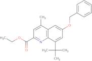 2-(2-Methoxy-phenyl)-pyrrolidine hydrochloride