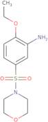 2-Ethoxy-5-(morpholine-4-sulfonyl)aniline