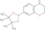 3,4-Dihydro-2H-benzo[b][1,4]oxazine-7-boronic acid pinacol ester