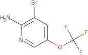 3-bromo-5-(trifluoromethoxy)pyridin-2-amine