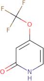 4-(Trifluoromethoxy)pyridin-2-ol