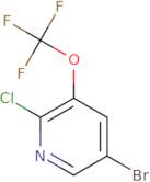 5-Bromo-2-chloro-3-(trifluoromethoxy)pyridine