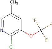2-Chloro-5-methyl-3-(trifluoromethoxy)pyridine