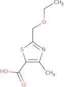 2-(Ethoxymethyl)-4-methyl-1,3-thiazole-5-carboxylic acid