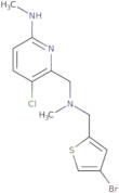 6-({[(4-Bromothiophen-2-yl)methyl](methyl)amino}methyl)-5-chloro-N-methylpyridin-2-amine