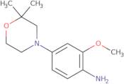 4-(2,2-Dimethylmorpholin-4-yl)-2-methoxyaniline