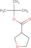 tert-Butyl oxolane-3-carboxylate