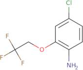 4-Chloro-2-(2,2,2-trifluoroethoxy)aniline