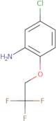 5-Chloro-2-(2,2,2-trifluoroethoxy)aniline