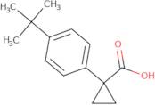 1-(4-tert-Butylphenyl)cyclopropane-1-carboxylic acid