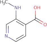 3-(Methylamino)isonicotinic acid