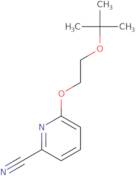 6-[2-(tert-Butoxy)ethoxy]pyridine-2-carbonitrile