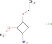 3-Ethoxy-2-methoxycyclobutan-1-amine hydrochloride