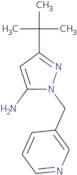 3-tert-Butyl-1-[(pyridin-3-yl)methyl]-1H-pyrazol-5-amine