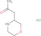 1-(Morpholin-3-yl)propan-2-one hydrochloride