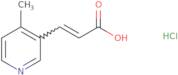 3-(4-Methylpyridin-3-yl)prop-2-enoic acid hydrochloride