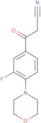 3-[3-Fluoro-4-(morpholin-4-yl)phenyl]-3-oxopropanenitrile