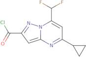 5-Cyclopropyl-7-(difluoromethyl)pyrazolo[1,5-a]pyrimidine-2-carbonyl chloride