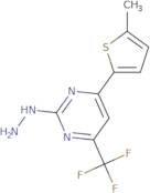 2-Hydrazino-4-(5-methylthien-2-yl)-6-(trifluoromethyl)pyrimidine