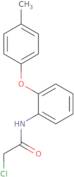 2-Chloro-N-[2-(4-methylphenoxy)phenyl]acetamide