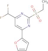 4-(Difluoromethyl)-2-(ethylsulfonyl)-6-(2-furyl)pyrimidine