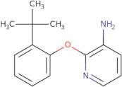 2-(2-(tert-Butyl)phenoxy)pyridin-3-amine