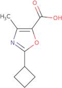 2-Cyclobutyl-4-methyl-1,3-oxazole-5-carboxylic acid