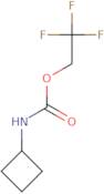 2,2,2-Trifluoroethyl N-cyclobutylcarbamate