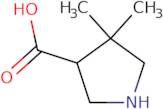 4,4-Dimethylpyrrolidine-3-carboxylic acid