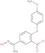 N'-Hydroxy-4-(4-methoxyphenoxy)-3-nitrobenzenecarboximidamide