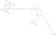 c11 Topfluor sphingomyelin