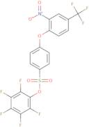 2,3,4,5,6-Pentafluorophenyl 4-[2-nitro-4-(trifluoromethyl)phenoxy]benzenesulphonate