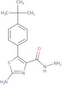 2-Amino-5-[4-(tert-butyl)phenyl]-1,3-thiazole-4-carbohydrazide