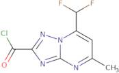 7-(Difluoromethyl)-5-methyl-[1,2,4]triazolo[1,5-a]pyrimidine-2-carbonyl chloride