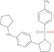 1-[5-(4-Amino-2-methoxy-phenyl)-furan-2-yl]-ethanone