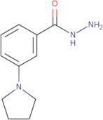 3-(Pyrrolidin-1-yl)benzohydrazide