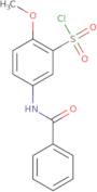 5-Benzoylamino-2-methoxy-benzenesulfonyl chloride