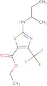 Ethyl 2-[(butan-2-yl)amino]-4-(trifluoromethyl)-1,3-thiazole-5-carboxylate