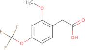 2-Methoxy-4-(trifluoromethoxy)phenylacetic acid