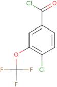 4-Chloro-3-trifluoromethoxybenzoyl chloride