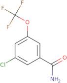 3-Chloro-5-(trifluoromethoxy)benzamide