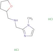 (1-Methyl-1 H -imidazol-2-ylmethyl)-(tetrahydro-furan-2-ylmethyl)-amine