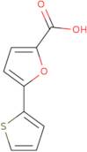 5-(Thiophen-2-yl)furan-2-carboxylic acid