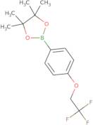 4-(2,2,2-Trifluoroethoxy)phenylboronic Acid Pinacol Ester