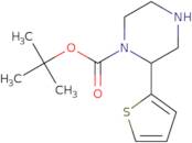 tert-Butyl 2-(thiophen-2-yl)piperazine-1-carboxylate