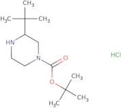 3-tert-Butyl-piperazine-1-carboxylic acid tert-butyl ester