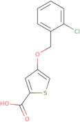 4-[(2-Chlorophenyl)methoxy]thiophene-2-carboxylic acid