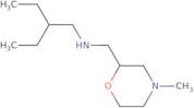 (2-Ethylbutyl)[(4-methylmorpholin-2-yl)methyl]amine